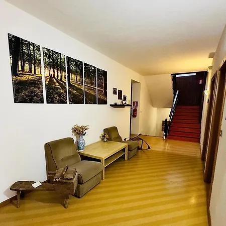 Stella D'oro 2*