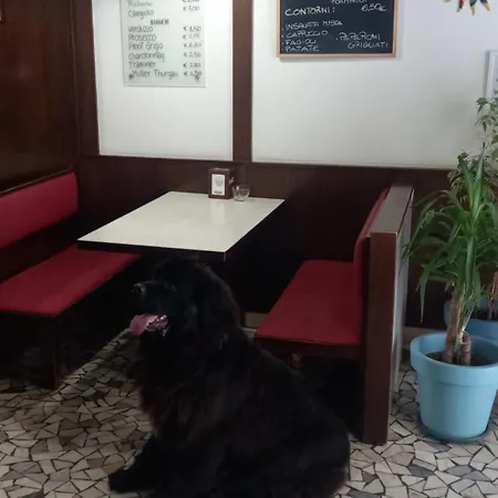 Stella D'oro Hotel